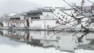 化解愤怒，只需要四个字