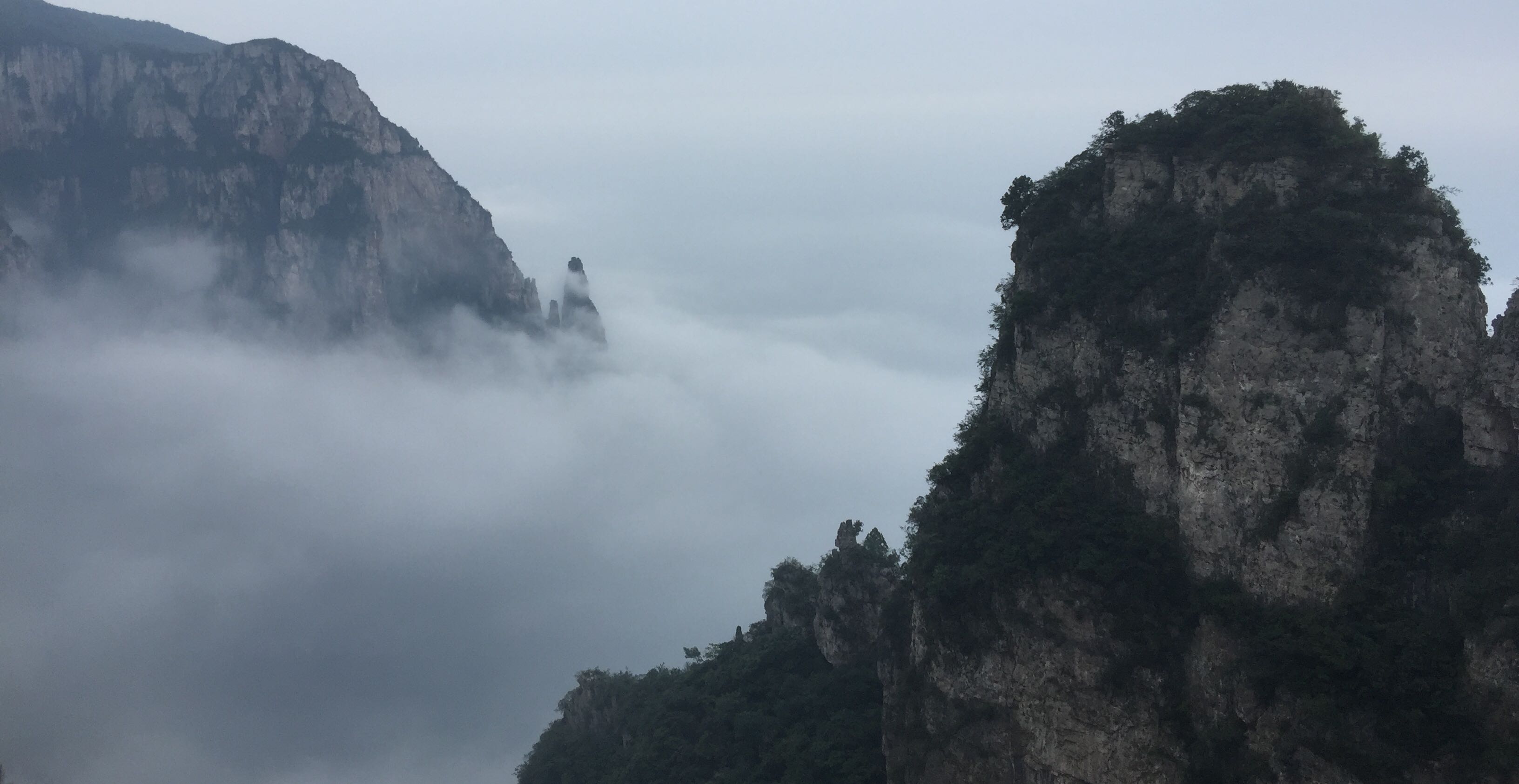 一个“讨好者”的自我救赎之道