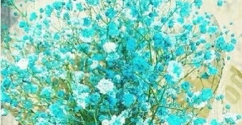 小皇帝长大以后2