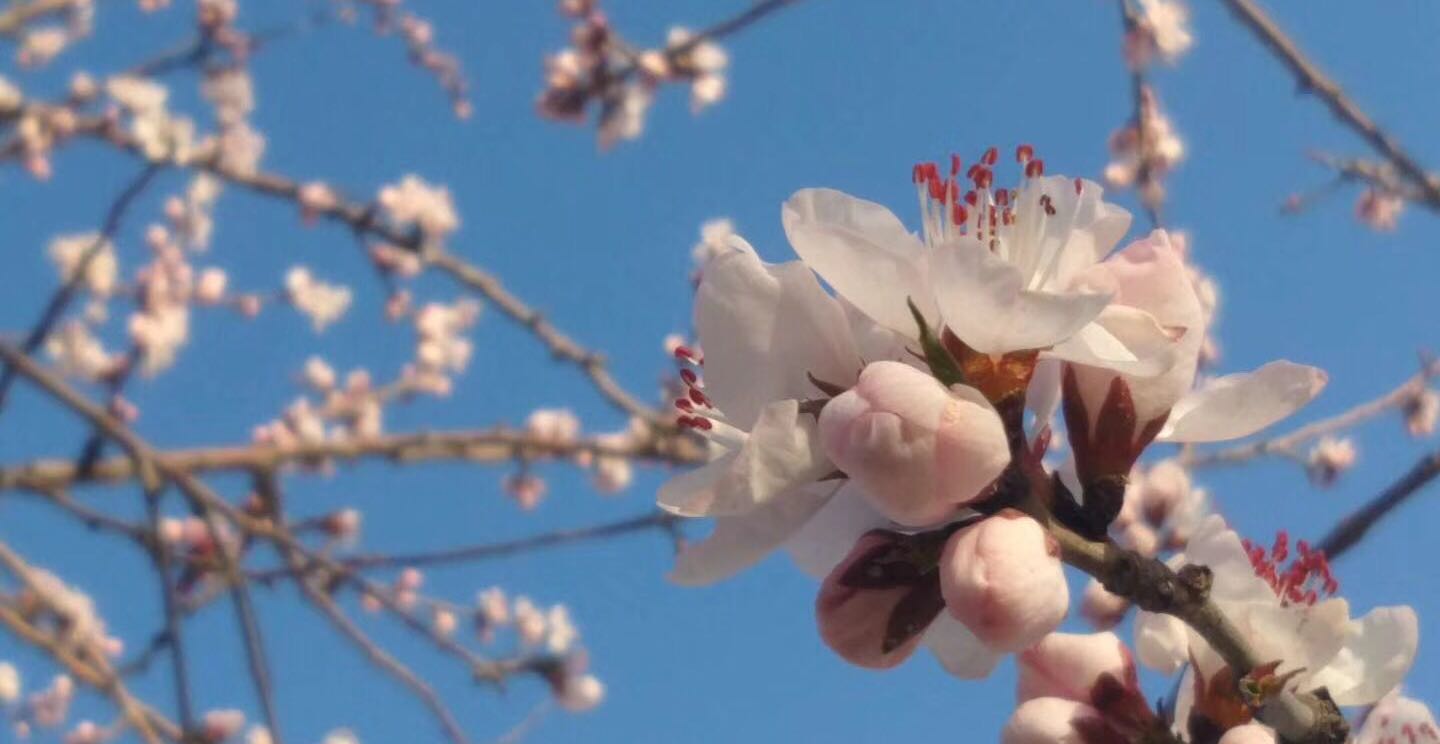 接纳不完美
