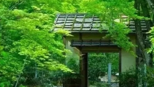 抑郁思维的认知歪曲之一：过度概括化