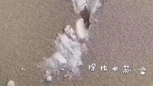 啃老族的部分共性