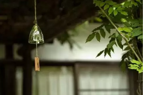 “得不到”的诱惑