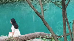 情绪控制