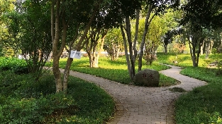 学习成长一直在路上