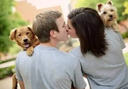 家族中的婚姻轮回
