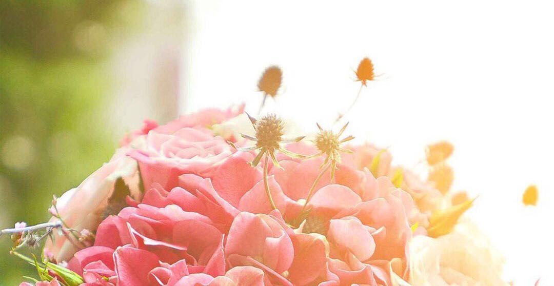 婚姻中的“刺猬法则”