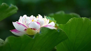 当我们患上焦虑症时，应该如何缓解焦虑？