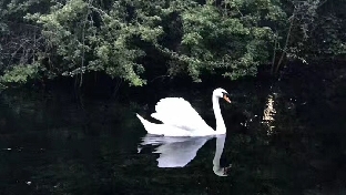 怎样摆脱原生家庭的影响