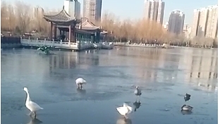 独行赋
