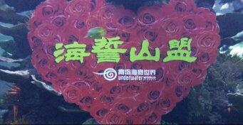 怎么提升自身魅力