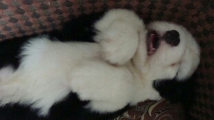 真正活得舒服的女人，从来知道如何释放自己