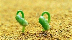 分享给大家《一切都是最好的安排》