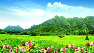 婚姻不幸却不能离，并不是个死局