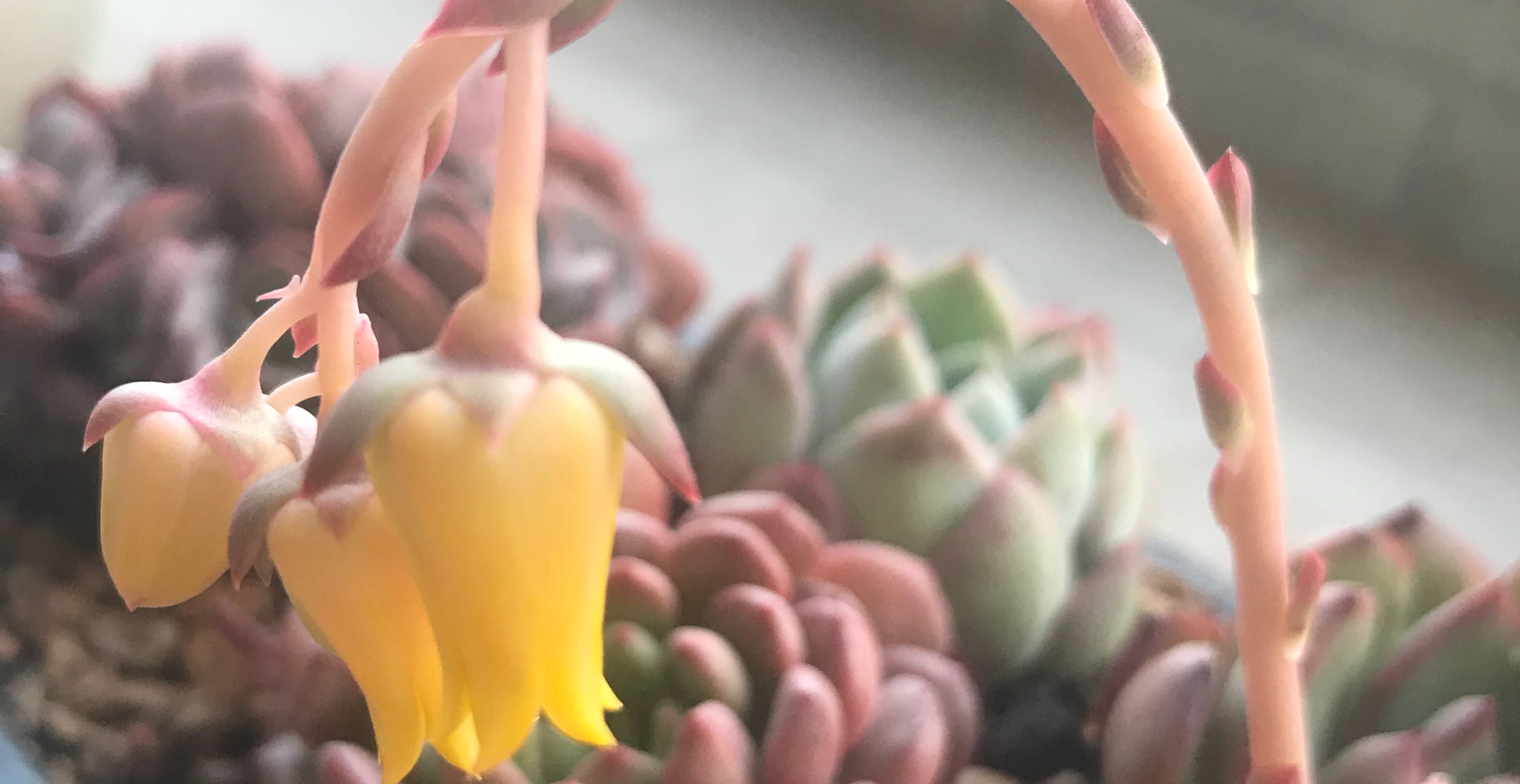 处理我们的愤怒情绪