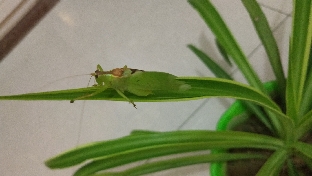 感到迷茫怎么办？
