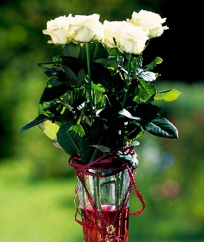 最可怕的不是出轨，而是....