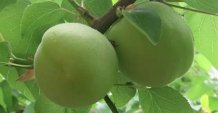 同性恋情更需要我们宽容