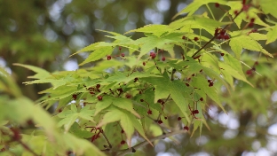 快速调节焦虑情绪