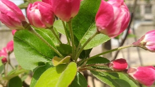 合同中有哪些隐藏的违约           情况呢？你知道吗？