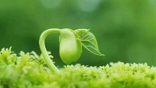 选择~自我拯救