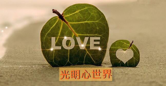 你可以隨便抱一棵樹嗎？