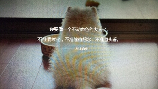 挽回流程