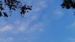 挫折是走向成熟的必经之路