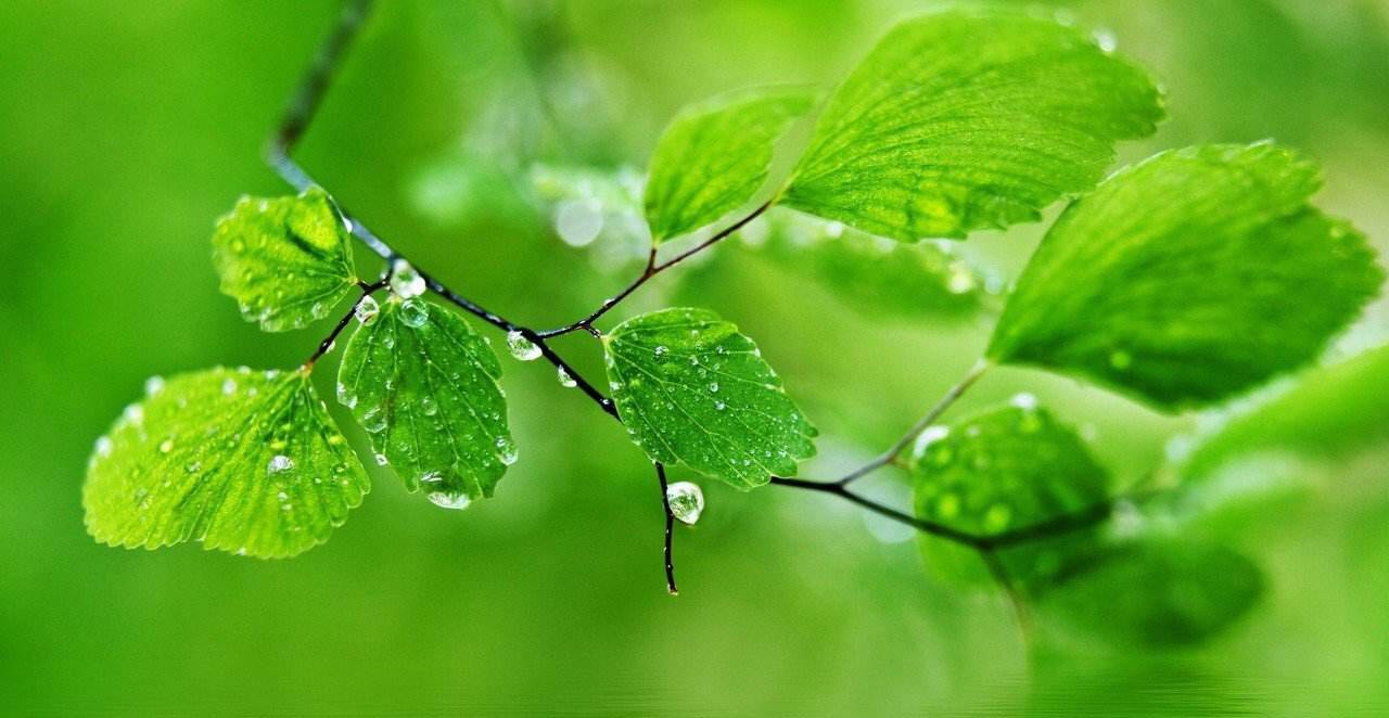 浅谈抑郁症之一