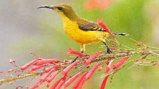 切忌触动小人的自卑心理