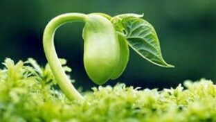 用爱托起孩子的明天~~~还孩子自由