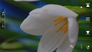 对所有的到来说是