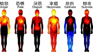 情绪背后的健康真相：每一种情绪都会产生相应的激素，从而影响你的身体