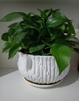 应激下的身心安顿法