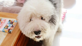 每种疾病都隐藏着一种需要