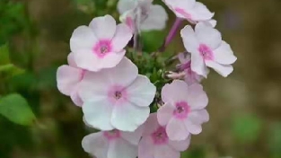 最伤孩子的7种爸爸