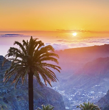 时间终究会带走青春的翅膀，却往往留下一根多情的尾巴