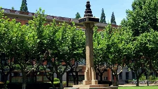 认知不同，不要一起出游