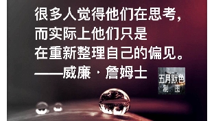 我对自然的感悟