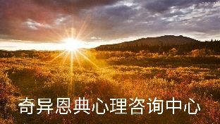 心理咨询四大流派的理论和技术特点及整合