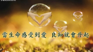 我爱你的真义