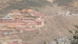 正念溯源