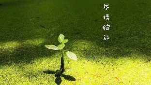 面对生命中的恐惧，我们如何化解？