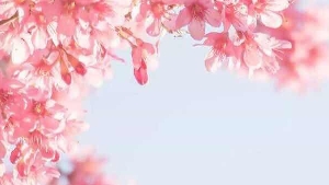 仪式感如此重要（转载）转载Lachel