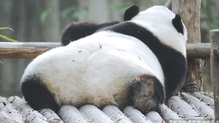 心态，能解决人生80%的难题！