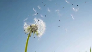 别让焦虑影响你的整个人生