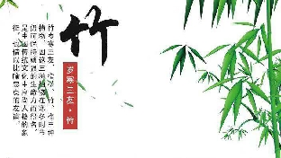你是招募演员还是找对象？