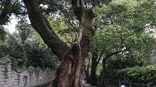 抑郁症：竟然也会遗传？