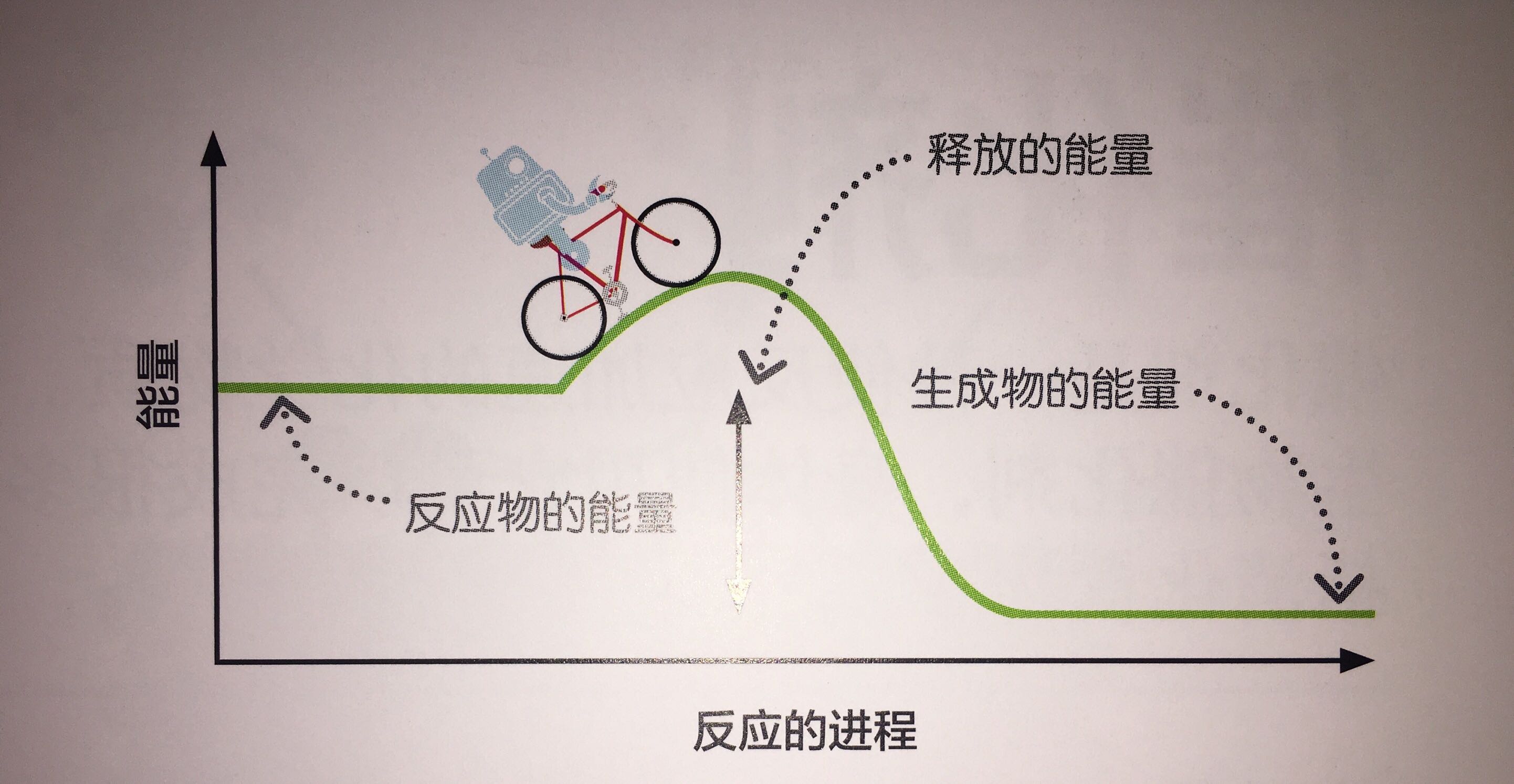 关于教育