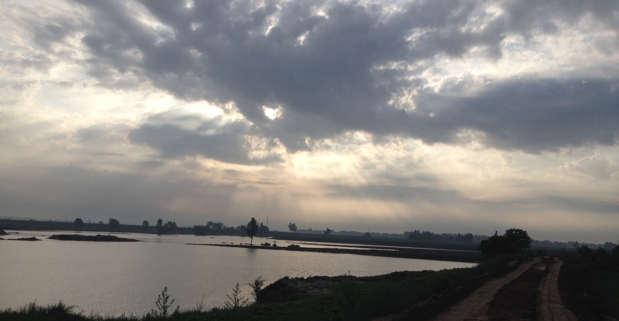 激动剂和拮抗剂